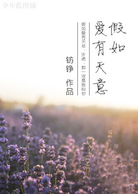 (影视同人)天意之相见不晚封面