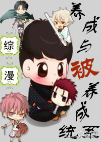 养成与被养成系统封面