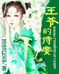 王爷的侍妾封面
