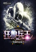 ���Ǳ���