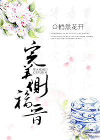 完美侧福晋封面