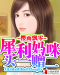 犀利妈咪 买一赠二封面