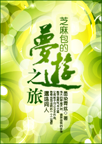 还珠之芝麻包的梦游之旅封面
