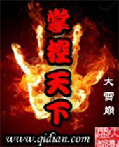掌控天下封面