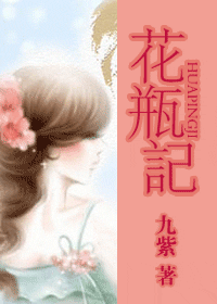 花瓶记封面