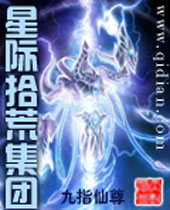 星际拾荒集团封面