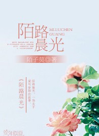 陌路晨光封面