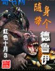 随身带个德鲁伊封面