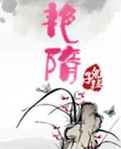 艳隋封面