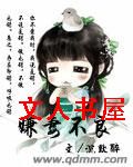 星霖银月封面