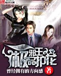 极品护花邪王封面