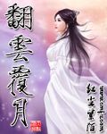 翻云覆月封面