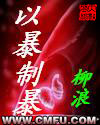 以暴制暴封面