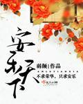安乐天下封面
