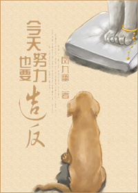 今天也要努力造反封面