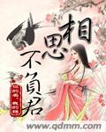 相思不负君封面