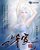 一等家丁封面