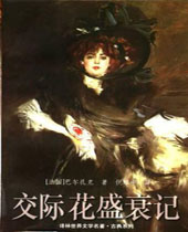 交际花盛衰记封面