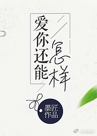 爱你还能怎样封面